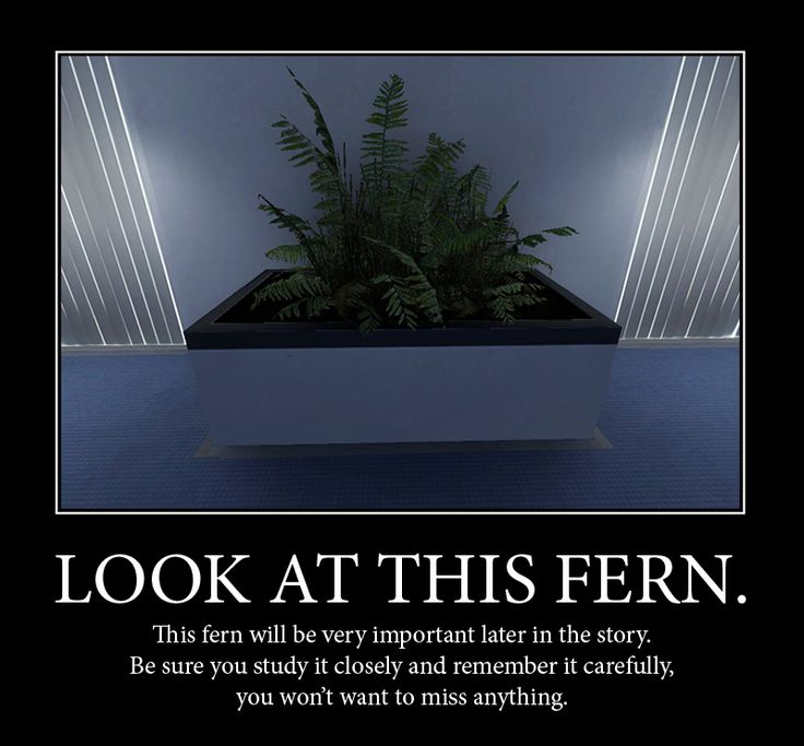 Stanley-Parable-Fern