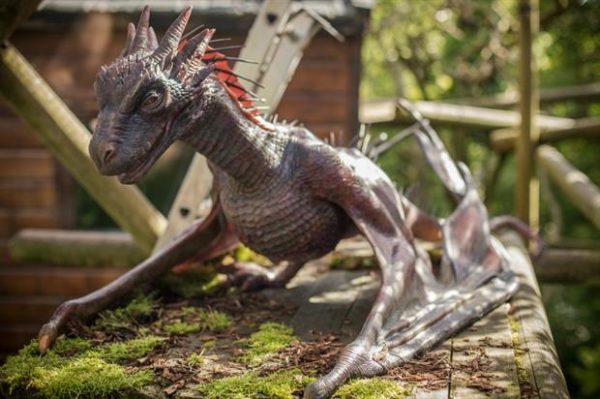 animatronic dragon at belfast zoo game of thrones Drogon
